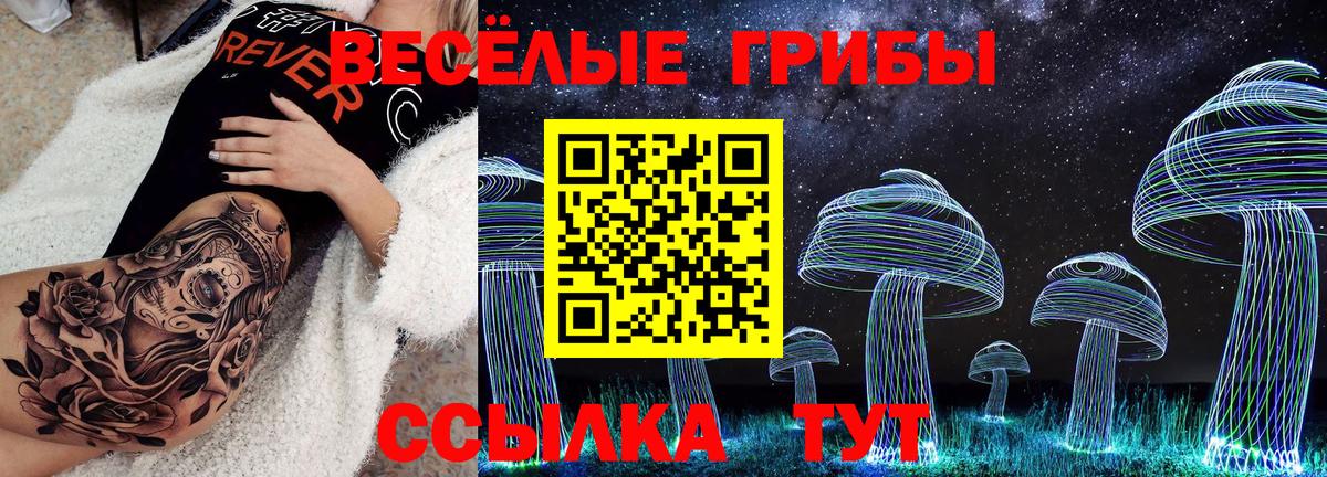 Нефтекумск  Галлюциногенные грибы Psilocybe  Галлюциногенные грибы ЛСД  Вход с VPN 
